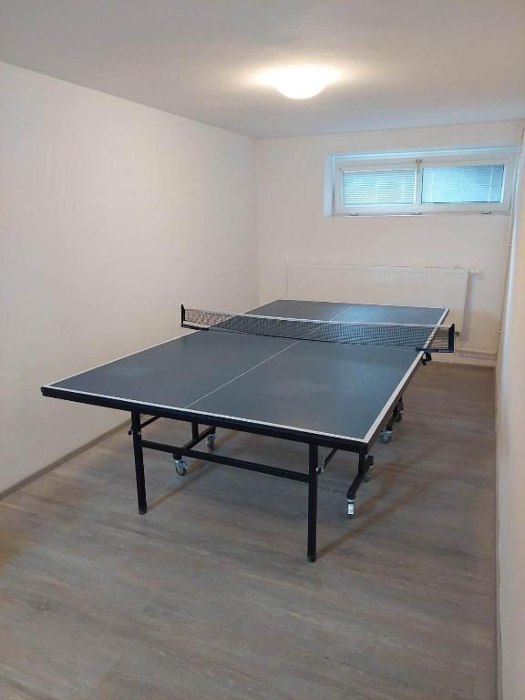 Stolní tenis v ubytování Penzion Strachotín nebo okolí