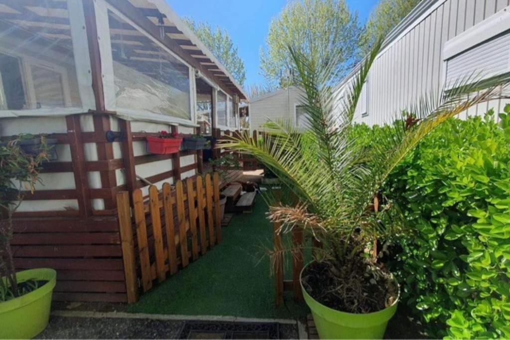 une maison avec un porche avec un palmier dans une cour dans l'établissement Mobil-Home MA 20 à Vias - La Carabasse - Camping Siblu avec piscine, à Vias