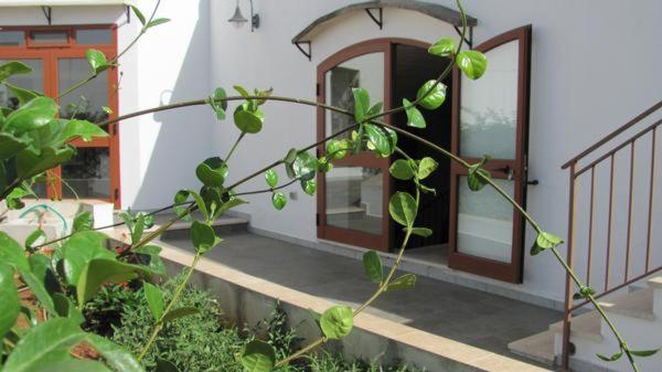 Zahrada ubytování B&B Camera A Sud Tuglie Gallipoli