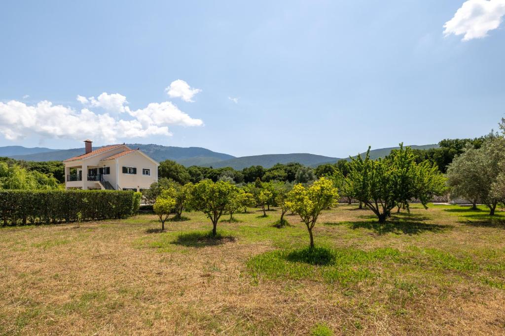 Příroda nedaleko apartmánu