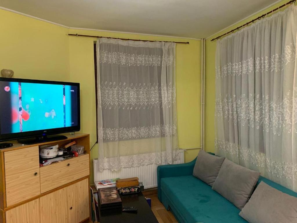 TV a/nebo společenská místnost v ubytování Constantinescu A