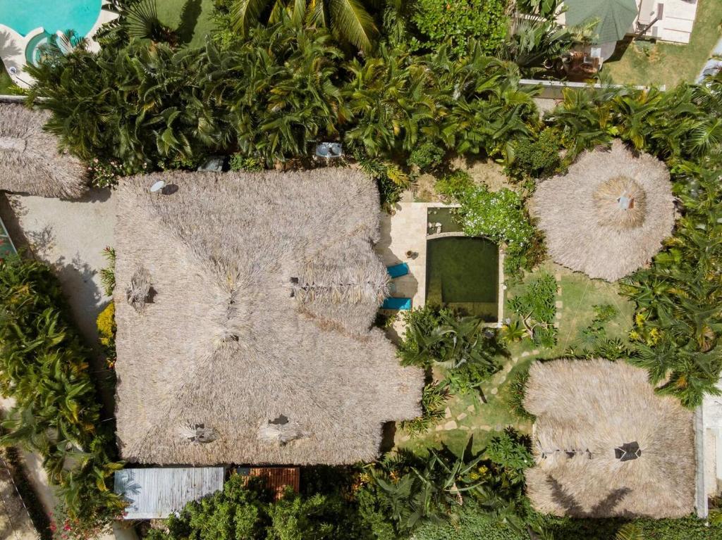 Zahrada ubytování Casa Picaflor