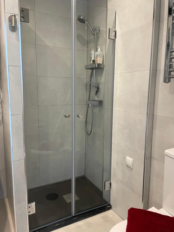 Kúpeľňa v ubytovaní Allegra Suite