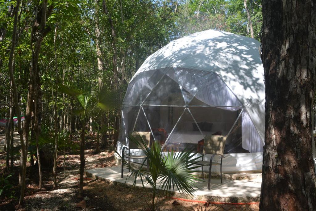 Zahrada ubytování Glamping Mayan Glam