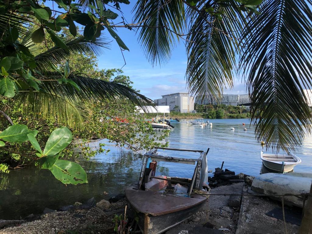 a boat sitting on the shore of a body of water at Appartement avec vue panoramique de Pointe-à-Pitre in Pointe-à-Pitre