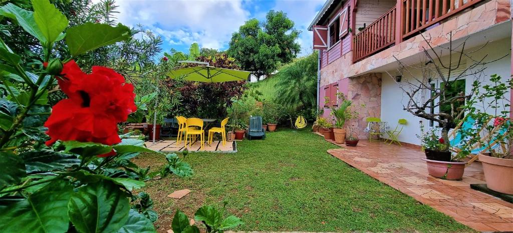 Zahrada ubytování La Visite Tropicale
