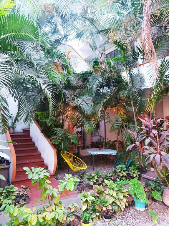 a garden with palm trees and a slide at Hotel Villa Tulipanes in Zihuatanejo