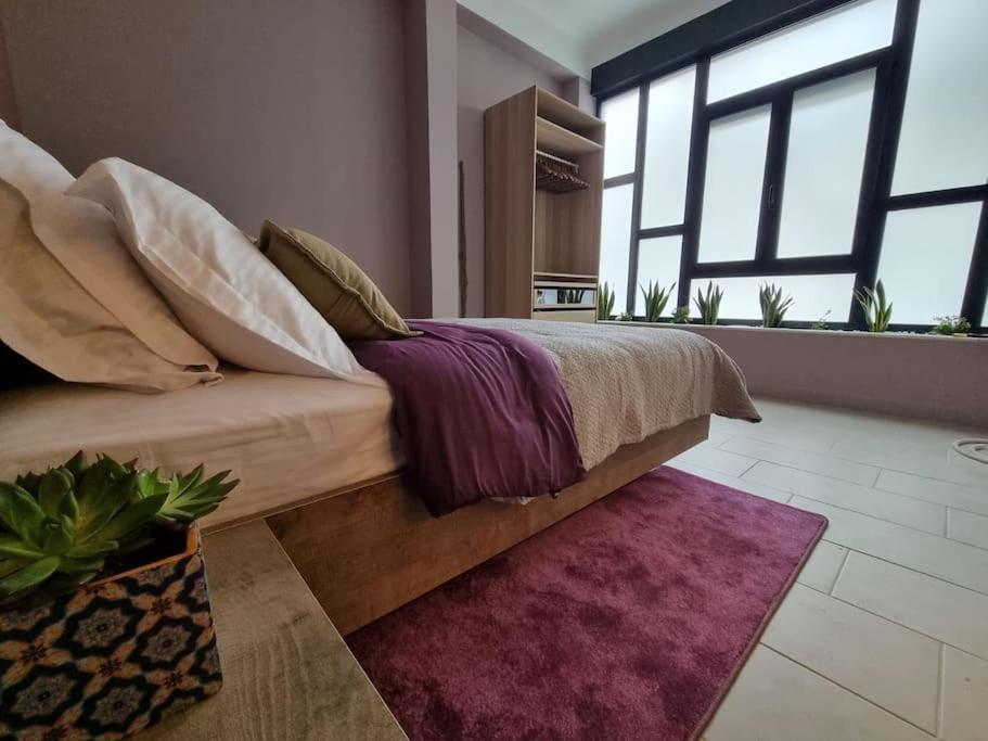 Ellis Apartment, Athens Updated 2024 Prices