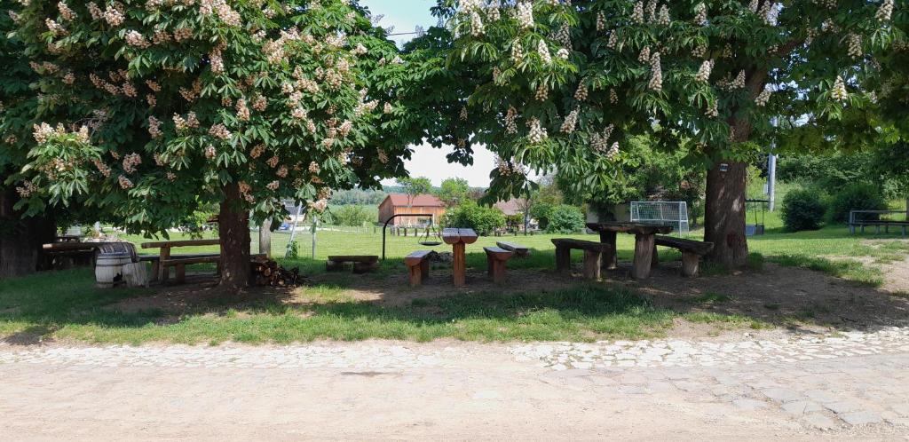 Zahrada ubytování Ubytování Na sklepě u Procházků