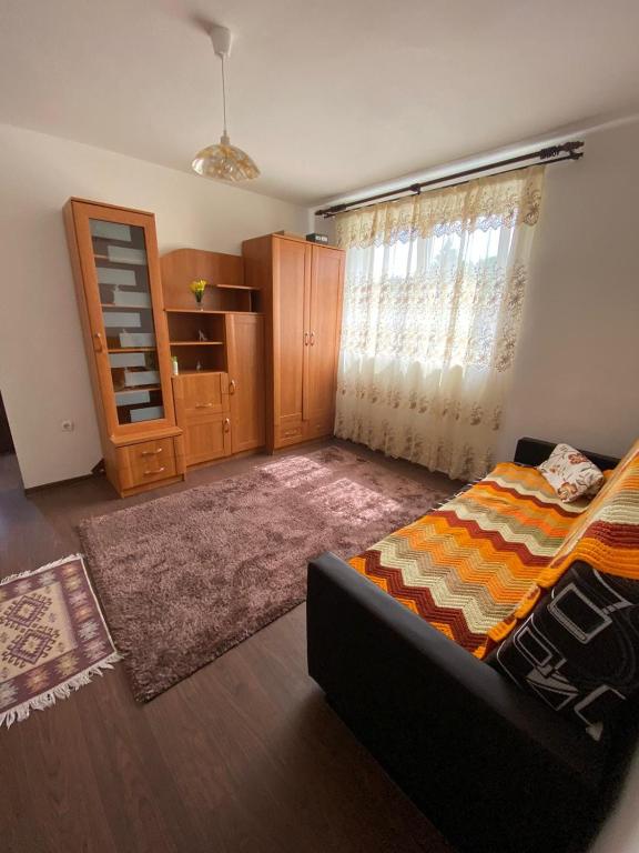 sala de estar con cama y ventana en Maris en Sîngeorz-Băi