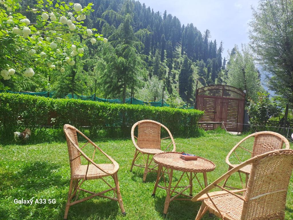 a group of chairs and a table in the grass at Al-Ayaan Guest House in Pahalgām