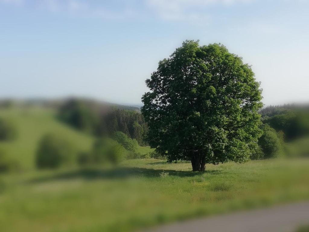 Příroda nedaleko apartmánu