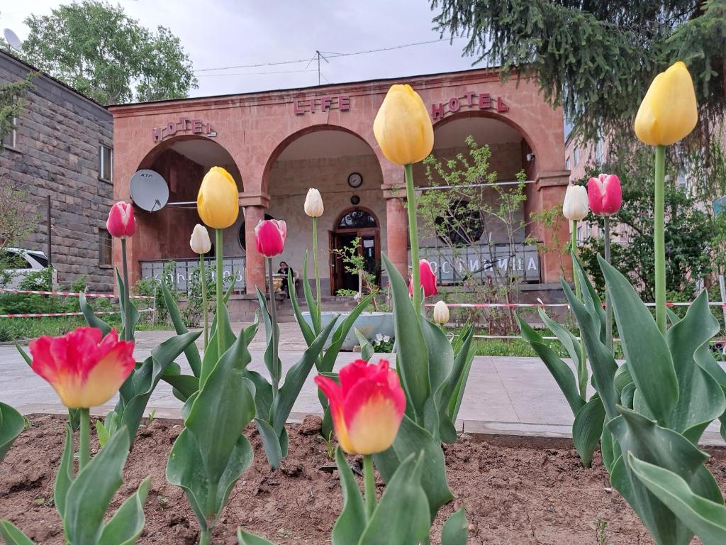 un grupo de tulipanes rosas y amarillos frente a un edificio en Hotel Life, en Jermuk
