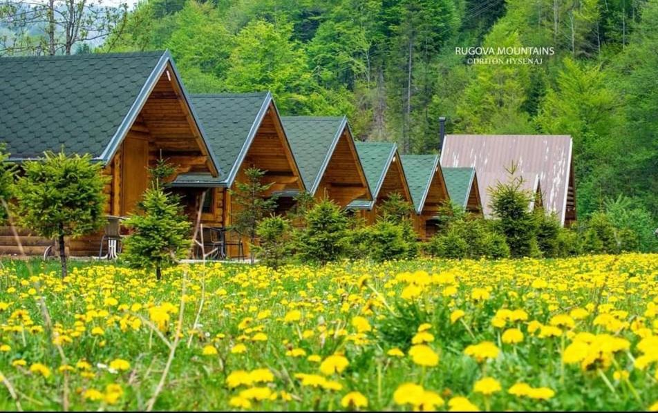 Zahrada ubytování Villa Restaurant Mulliri