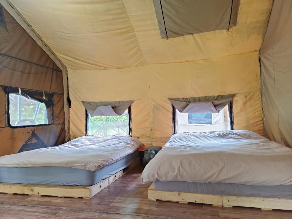 two beds in a tent with two windows at Traveller Mountain Spring Farm in Beipu