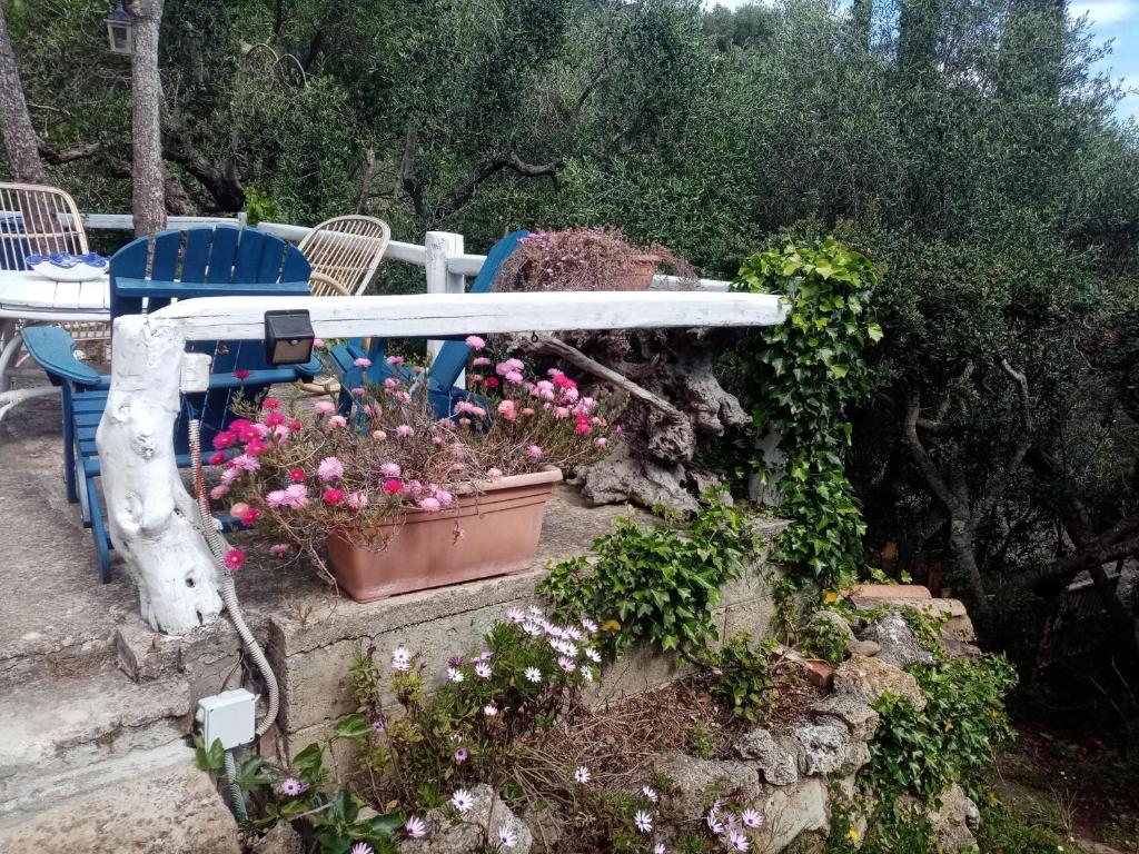 Vonkajšia záhrada v ubytovaní Cottage Pura Vigna immerso nella natura vicino al mare