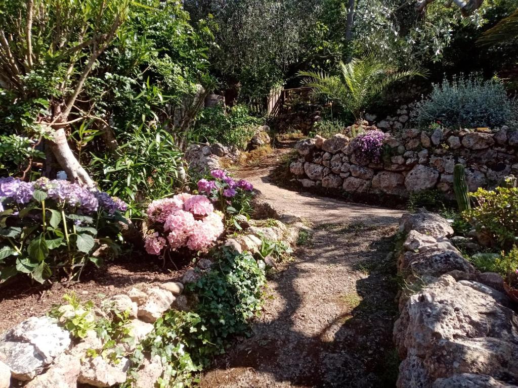 Vonkajšia záhrada v ubytovaní Cottage Pura Vigna immerso nella natura vicino al mare