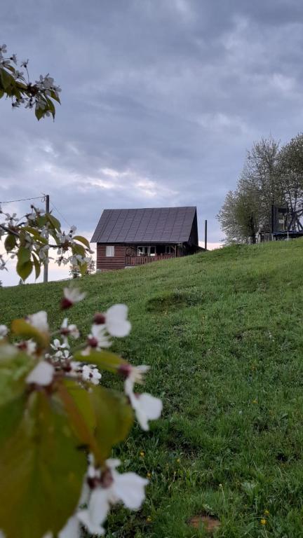 a barn in a field with flowers in front of it at Casa din Deal-Apuseni in Ocoale