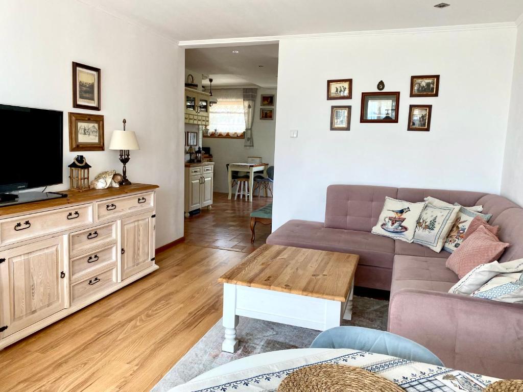 Televízia a/alebo spoločenská miestnosť v ubytovaní Apartament przy Krupówkach - Laszka