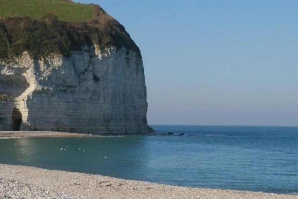 une plage rocheuse avec une grande falaise à côté de l'océan dans l'établissement BORD DE MER : CHARMANTE MAISON DE PECHEUR, à Yport