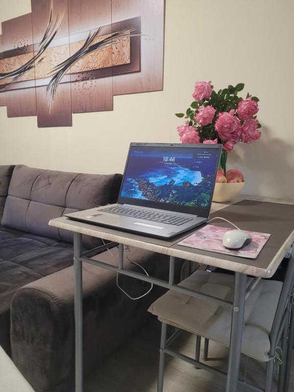 A television and/or entertainment centre at Studio VIP-ZONE