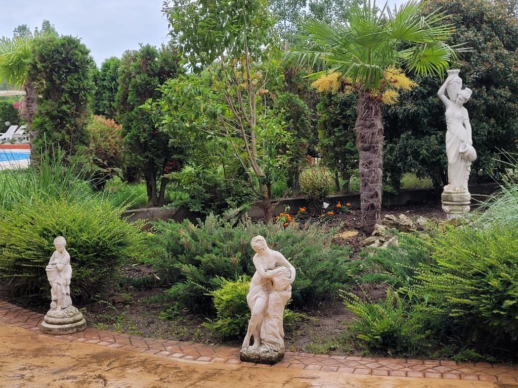 A garden outside Studio VIP-ZONE