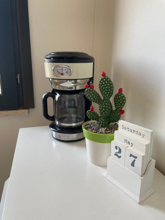 A kitchen or kitchenette at Villa Dune