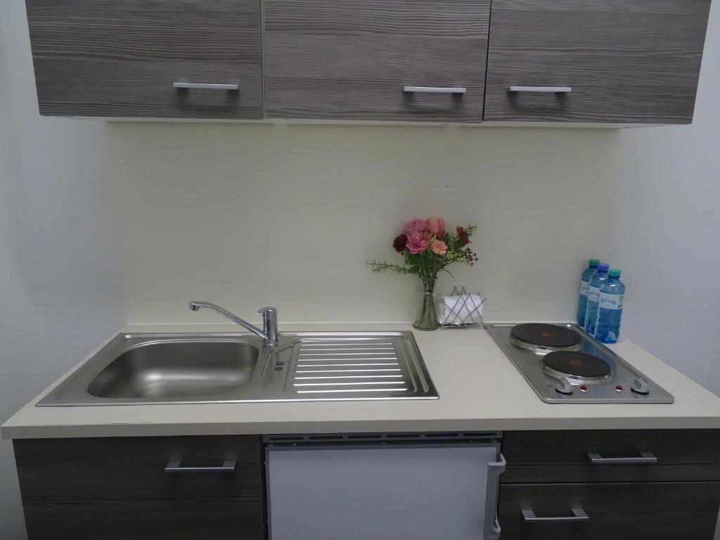 Kuchyň nebo kuchyňský kout v ubytování Centre Apartments