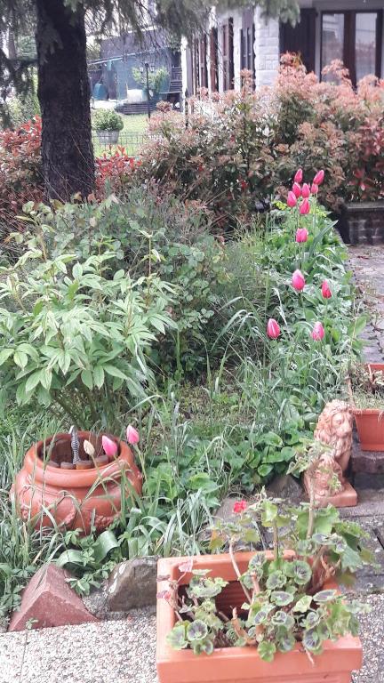 einen Garten mit Blumen und Pflanzen in Töpfen in der Unterkunft La gazza allegra in Querciola
