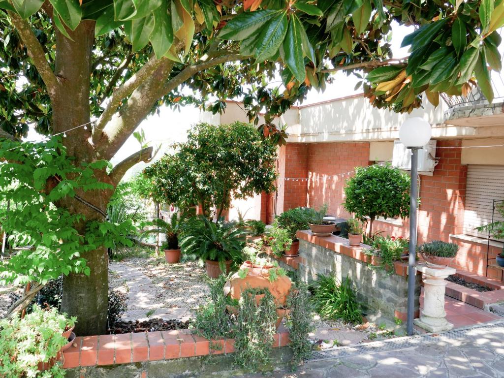 Zahrada ubytování Le Magnolie house and Jubilee