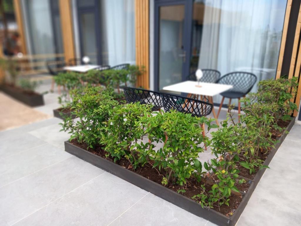 Zahrada ubytování Beach Hotel Kapahi