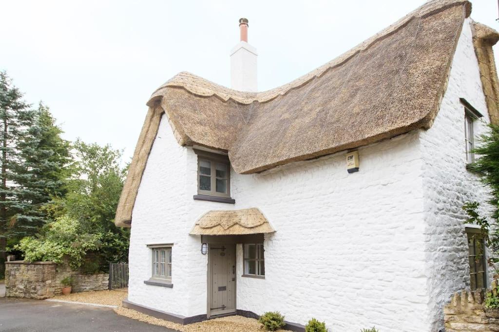 a white cottage with a thatched roof at The Bee Cottage Rutland - 17th century thatched. in Cottesmore