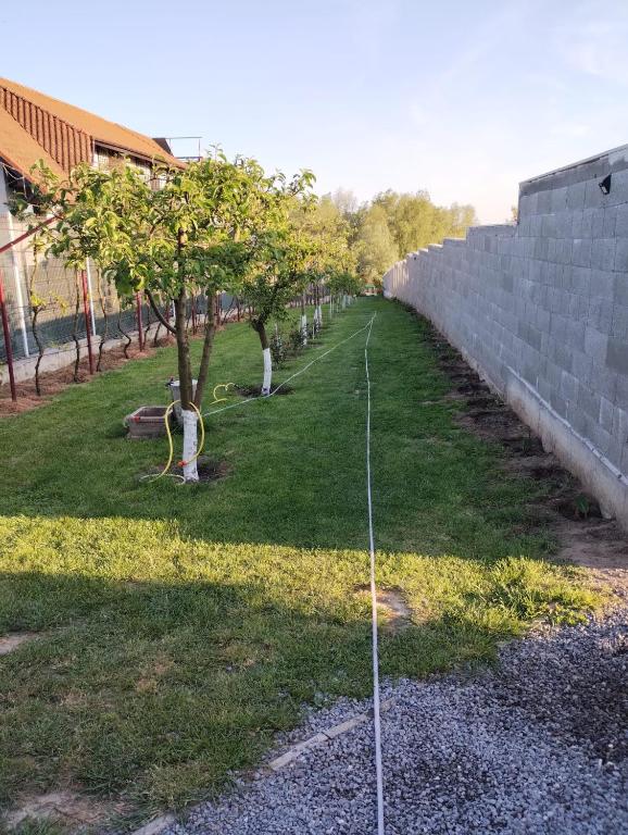 Zahrada ubytování Cabanele Deltei