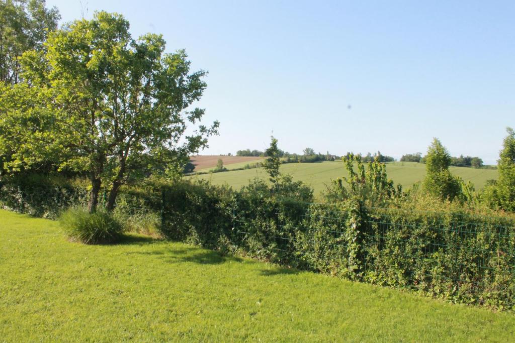a hedge in a field with a tree in the background at La Naillousaine in Nailloux
