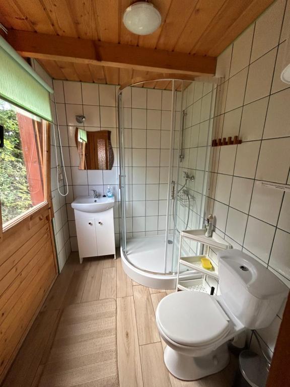 a bathroom with a toilet and a shower and a sink at La Jolla Domki Drewniane in Jarosławiec