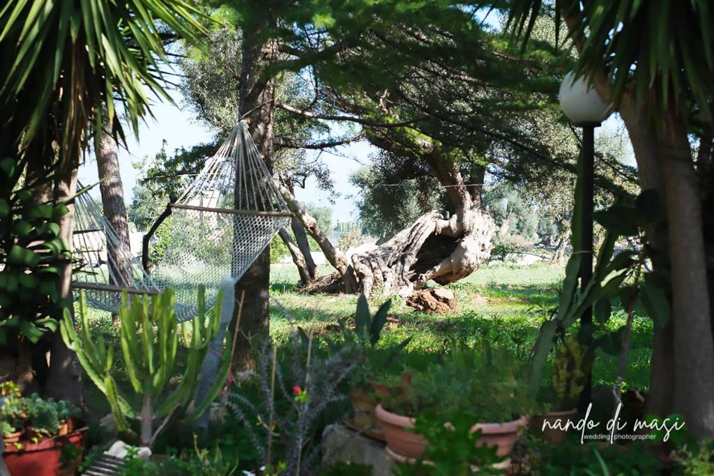 a hammock hanging from a tree in a garden at Masseria Giangrande - Rooms and Apartment in Polignano a Mare