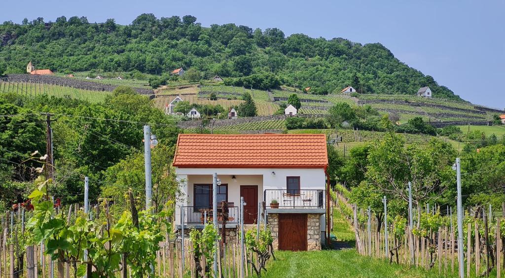mały domek z pomarańczowym dachem w winnicy w obiekcie Jera Pince és Vendégház w mieście Somlóvásárhely