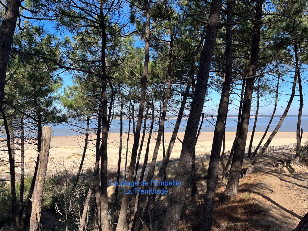 Zdjęcie z galerii obiektu Entre plage et marais w mieście Bourcefranc