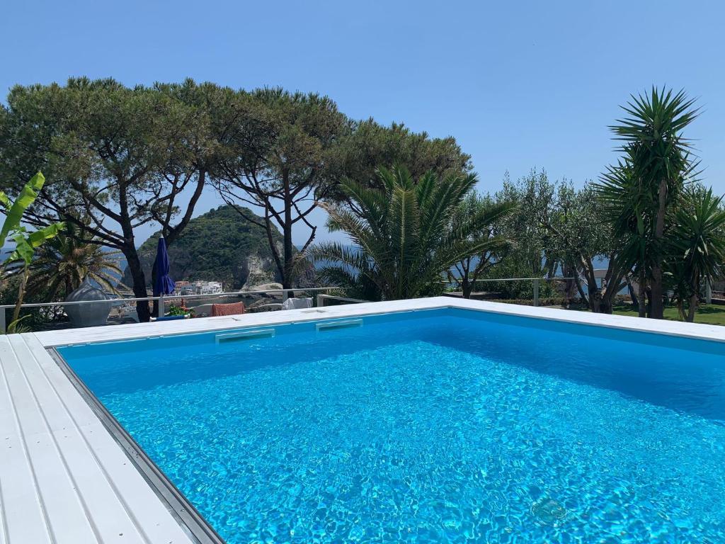 une piscine bleue avec des arbres en arrière-plan dans l'établissement Hotel Casa Adolfo Ischia, à Ischia