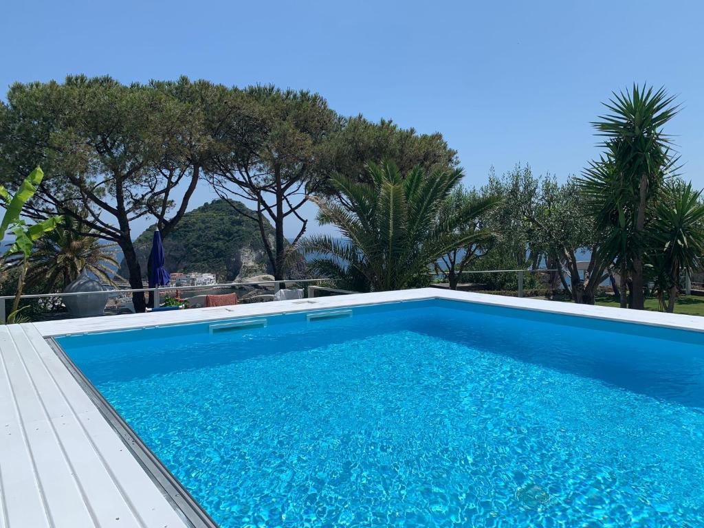 Bazén v ubytování Hotel Casa Adolfo Ischia nebo v jeho okolí