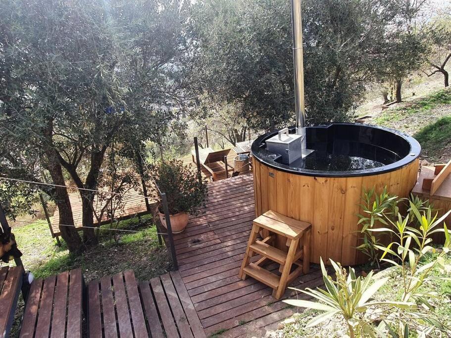 Glamping geodesic dome in secluded eco retreat - imagen 2