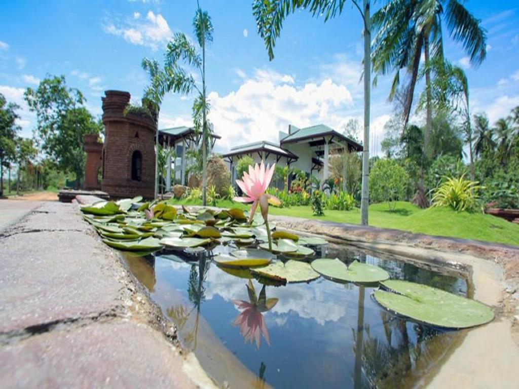 a pond filled with lily pads in a yard at Ruins Chaaya Hotel in Polonnaruwa