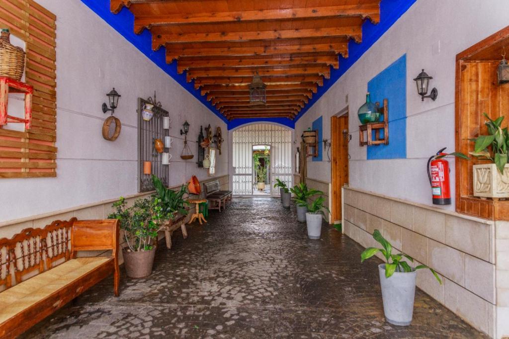 Fotografie z fotogalerie ubytování Casas Mancha v destinaci Torrenueva
