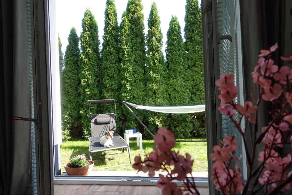 Zahrada ubytování Apartament Danuta Mrągowo