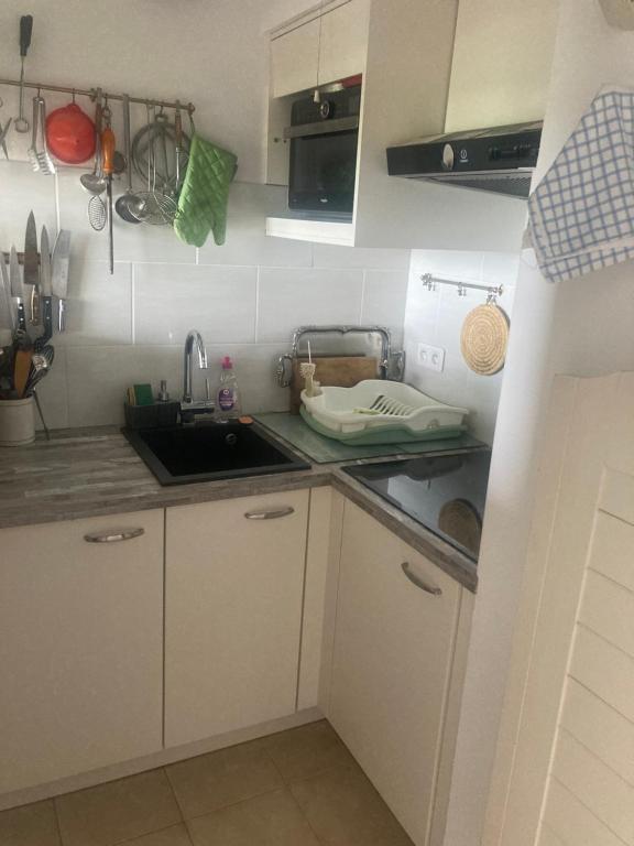Kuchyňa alebo kuchynka v ubytovaní CANNES Front de mer