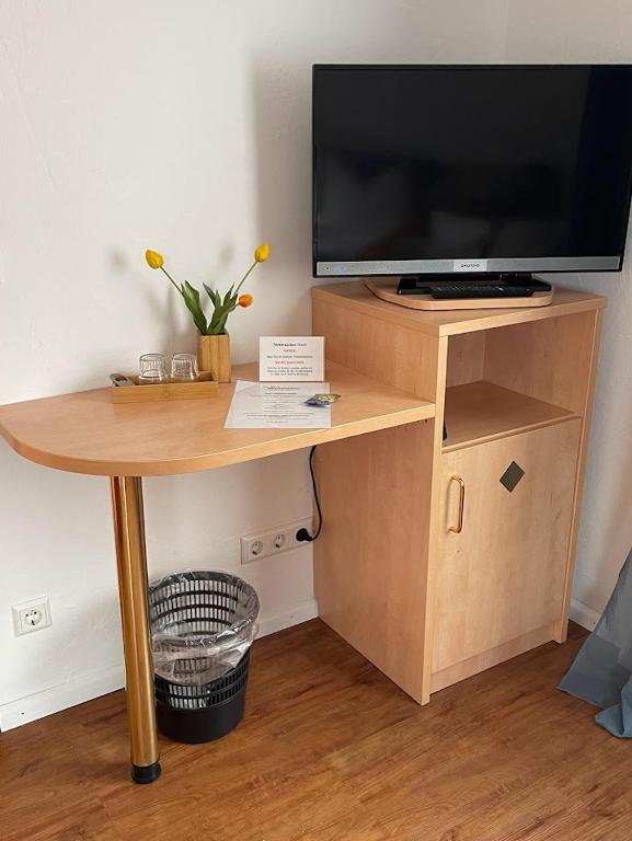 TV a/nebo společenská místnost v ubytování zum Schwanen Garni