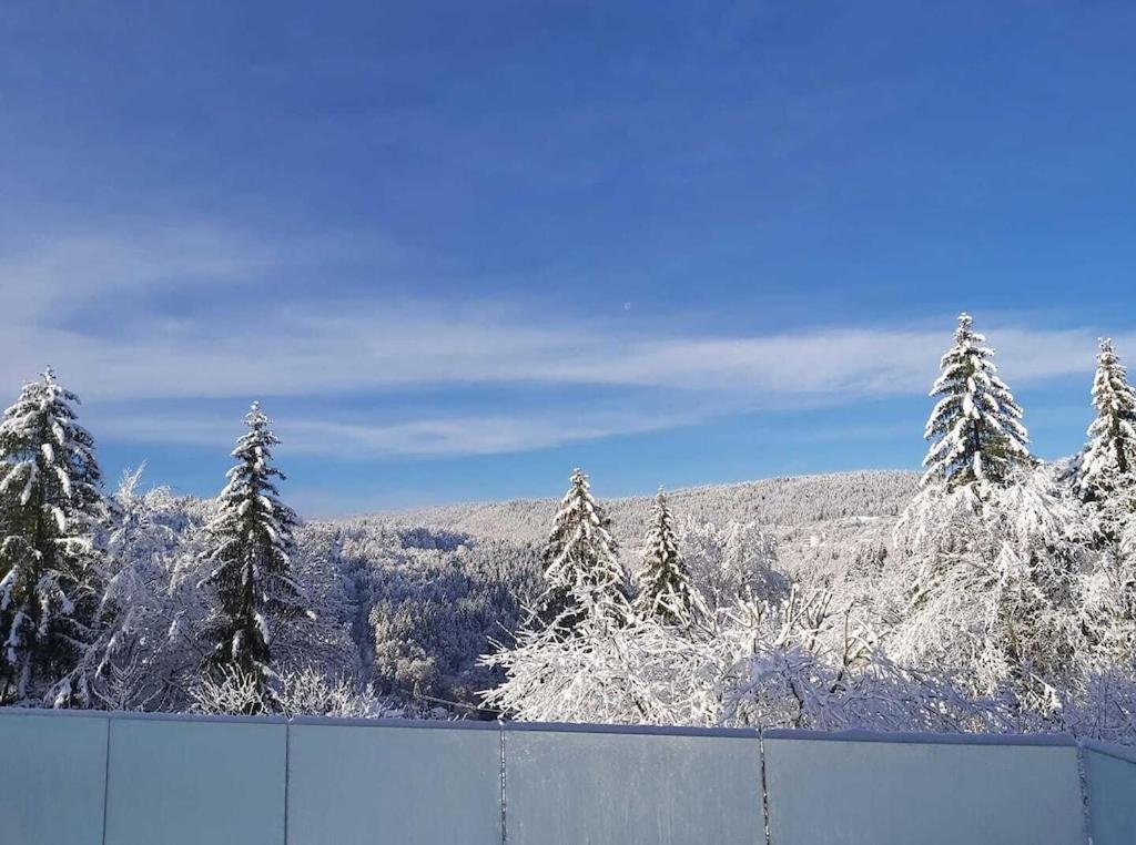 una montaña cubierta de nieve con árboles y una valla en Chez Lily et Bruno en Morbier