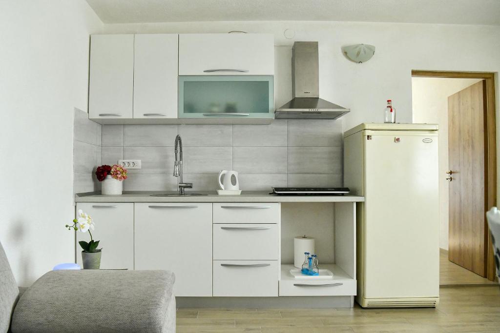Kuchyň nebo kuchyňský kout v ubytování Apartman Noa