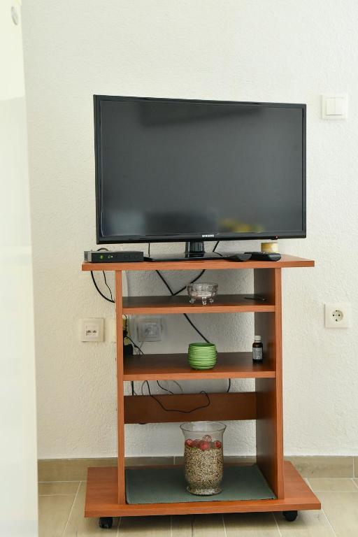 TV a/nebo společenská místnost v ubytování Apartman Noa