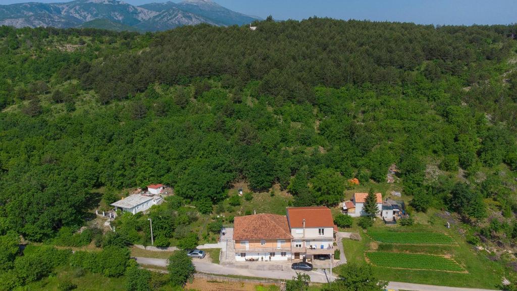 Příroda nedaleko apartmánu